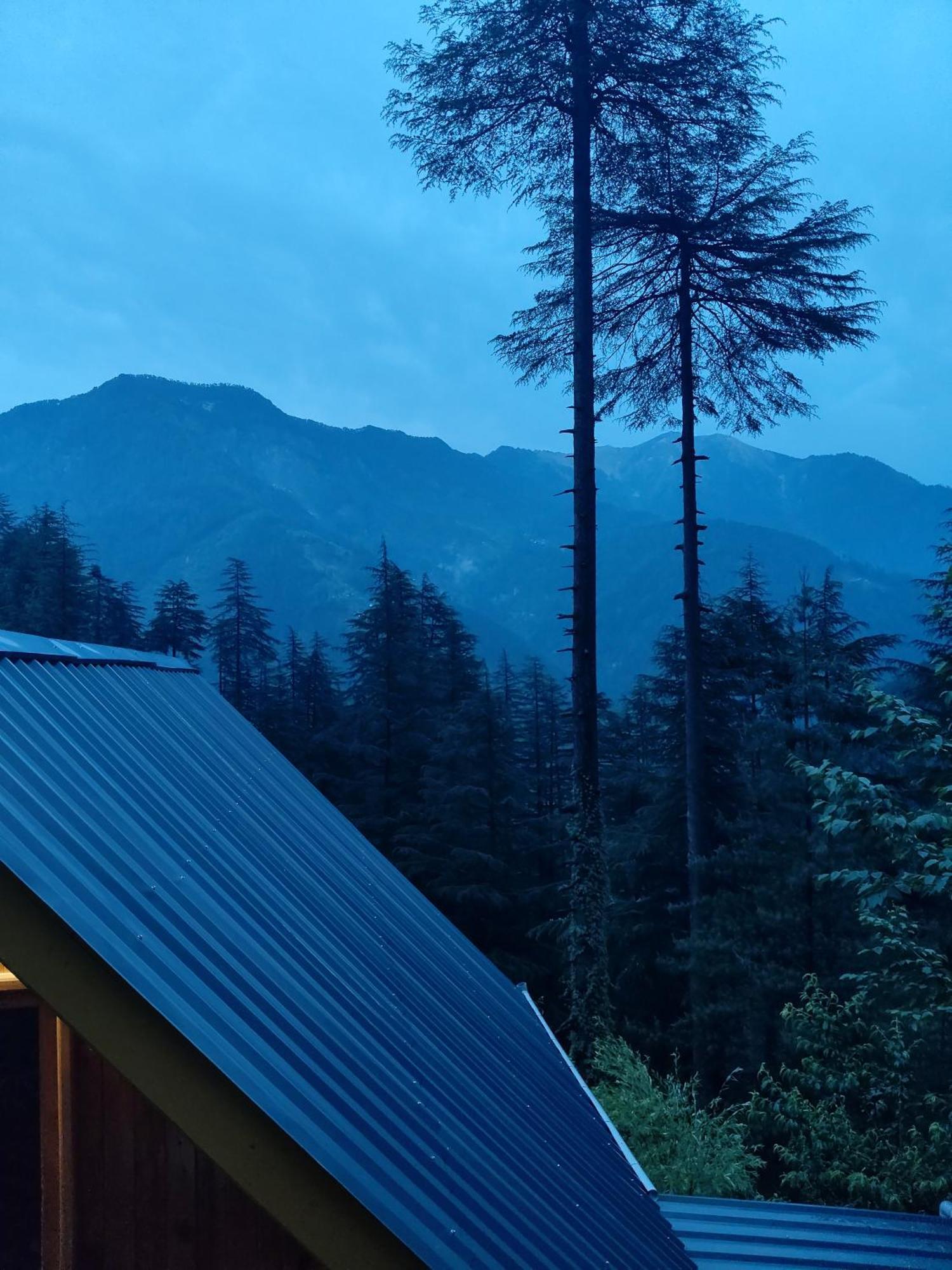 Forest View Cottage Jibhi Экстерьер фото
