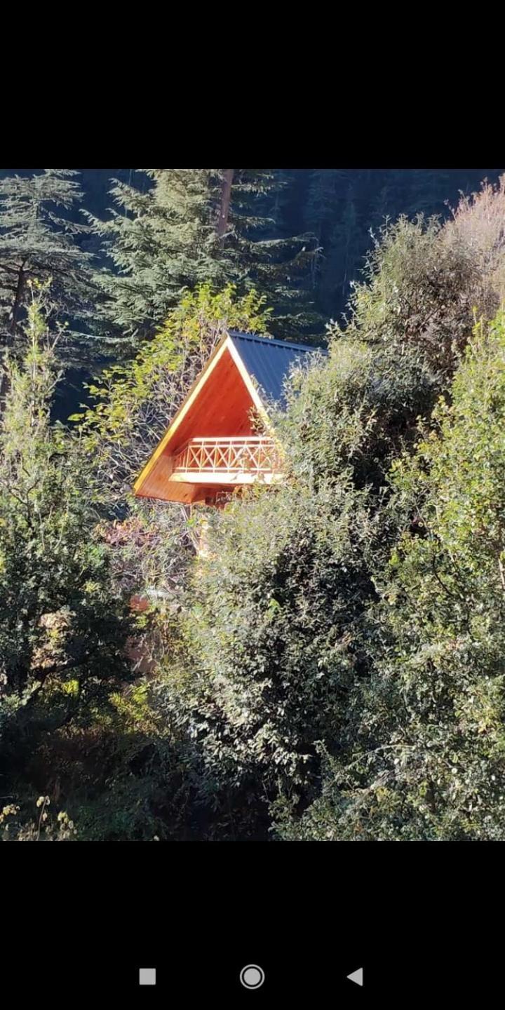 Forest View Cottage Jibhi Экстерьер фото